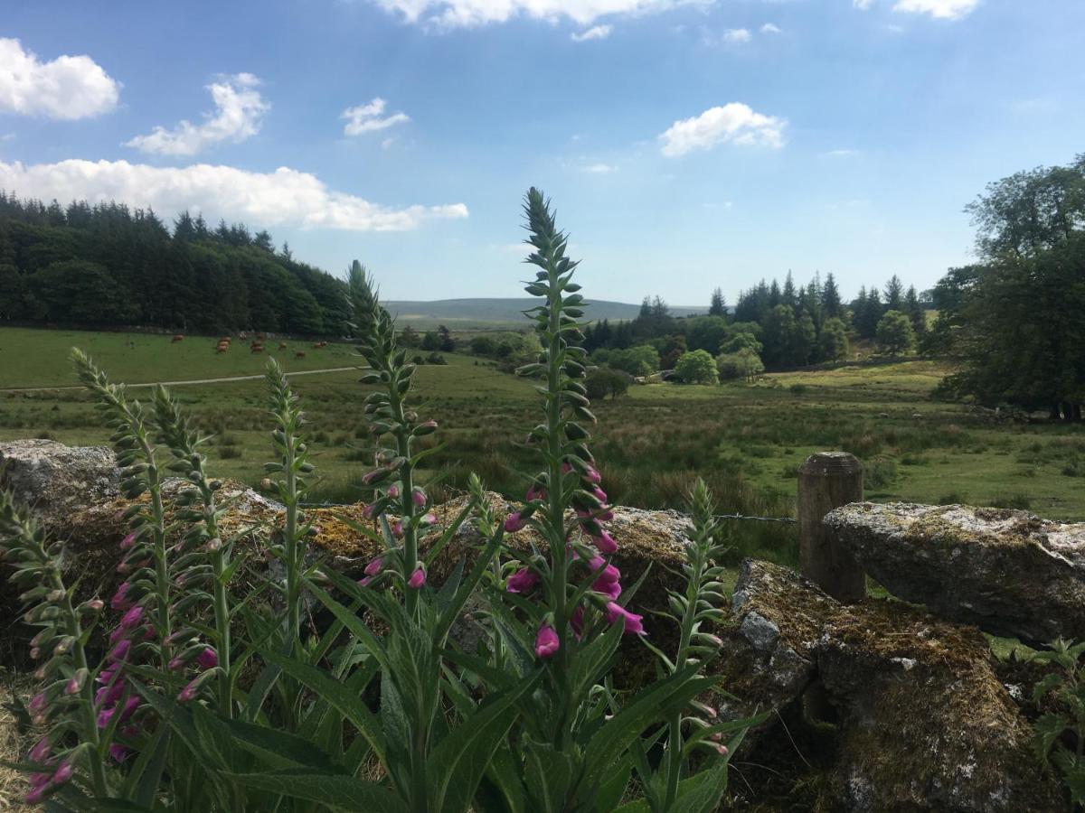 Prince Hall Country House Princetown Exterior foto